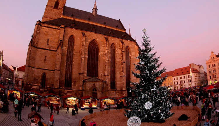 Vánoční strom už teď hledá město Plzeň, občané si mohou vybrat, jak bude ozdoben