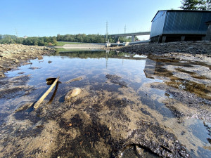 Z vypuštěné Borské přehrady stěhují biologové tisíce škeblí do nové lokality