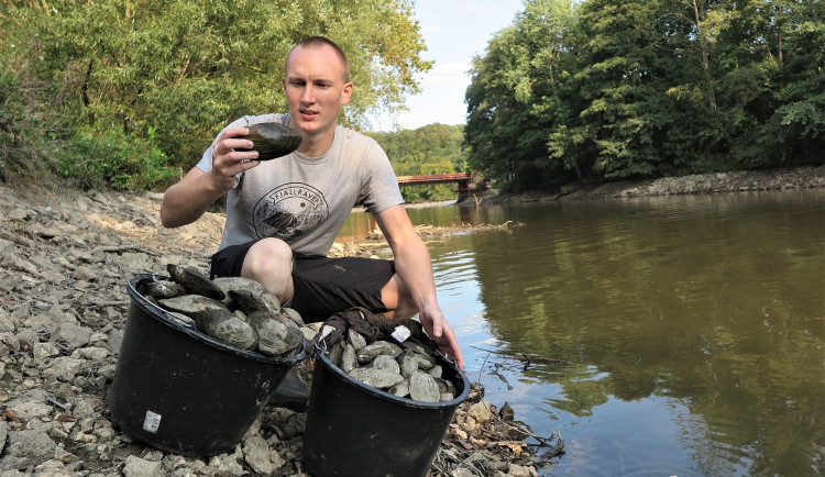 Radek Zeman připravuje k transferu do jiné lokality nasbírané škeble