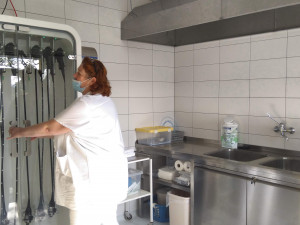 Do přístavby Stodské nemocnice se nastěhovala gastroenterologie a v novém je i JIP a plicní ordinace