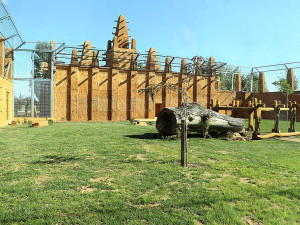 V tomto krásném výběhu má Dabir nový domov