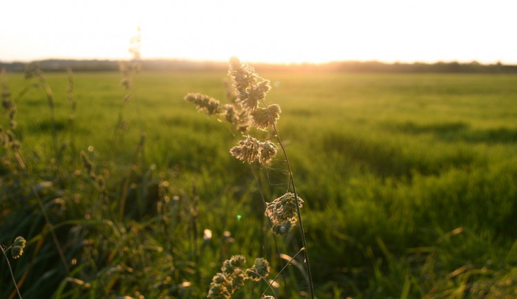 size4-1600585532393-103-babi-leto-potrva-jeste-v-pristim-tydnu