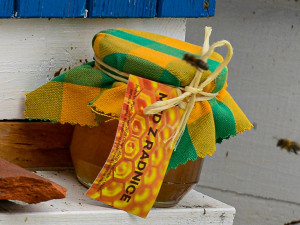 Střecha plzeňského magistrátu ukrývala zlatý poklad, zaplnil rovných 60 skleniček