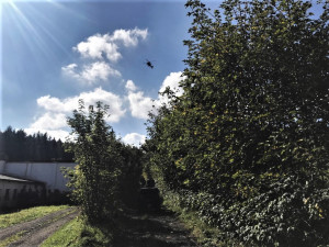 Na Šumavě pokračuje už třetím dnem obří pátrací akce po ztraceném seniorovi