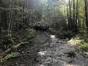 Na Šumavě pokračuje už třetím dnem obří pátrací akce po ztraceném seniorovi