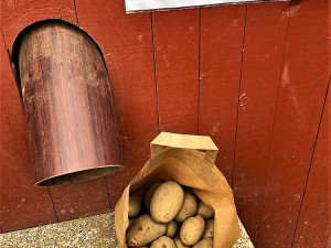 Unikátní bramboromat vám bleskově nasype dvě kila brambor a ještě se u toho pobavíte