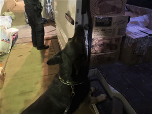 Služební pes celníků našel v bulharské dodávce úkryt s nekolkovanými cigaretami a alkoholem