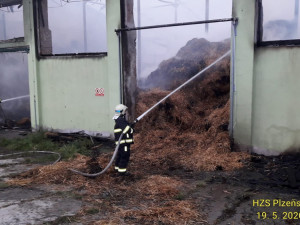 Halu s uskladněným suchým krmivem zapálil nedopalek cigarety nezletilého mladíka