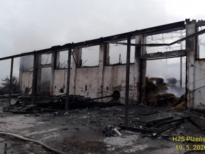 Halu s uskladněným suchým krmivem zapálil nedopalek cigarety nezletilého mladíka