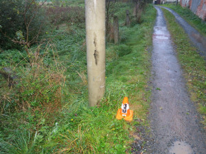 Na tento sloup přimáčklo auto popeláře