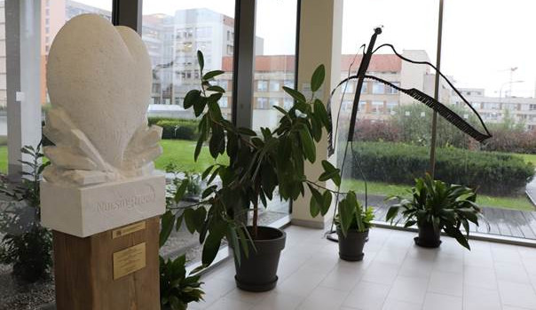 Bílé srdce z mramoru je novým symbolem ve fakultní nemocnici