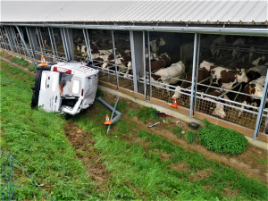 Jeden motorista vletěl s vozem téměř mezi krávy, další zdemoloval sloup elektrického vedení