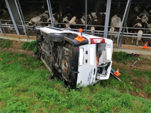 Dodávka se skutálela až k překvapeným kravičkám