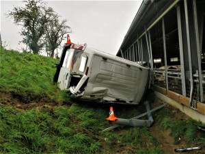 Dodávka se skutálela až k překvapeným kravičkám