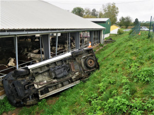 Dodávka se skutálela až k překvapeným kravičkám