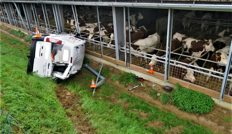 Dodávka se skutálela až k překvapeným kravičkám