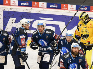 Hokejová extraliga stojí, hráči A týmu HC Škoda Plzeň přistoupili na snížení platů