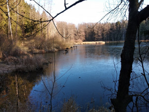 Plzeňané vyrážejí častěji do městských rekreačních oblastí, množí se tam nepořádek