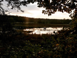Plzeňané vyrážejí častěji do městských rekreačních oblastí, množí se tam nepořádek