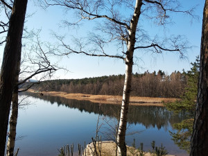 Plzeňané vyrážejí častěji do městských rekreačních oblastí, množí se tam nepořádek