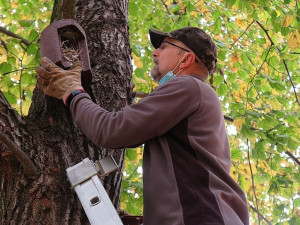 Pavel Steinbach čistí jednu budku
