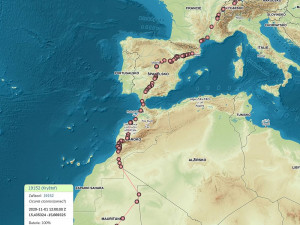 Takto Kryštof cestoval do Senegalu