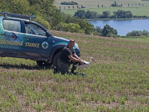 Vypouštění Kryštofa