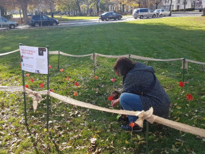 vlčí máky si lidé vyrábějí doma