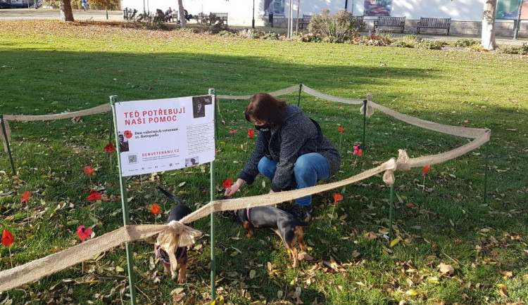 lidé v Plzni ctí památku válečných veteránů