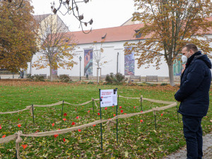 Záhonek s vlčími máky v centru Plzně se zaplňuje, zasadit květ přišel i primátor Baxa