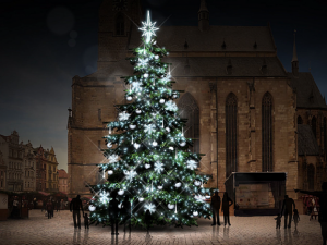 Asi takto by měl po nazdobení vypadat vánoční strom na náměstí Republiky