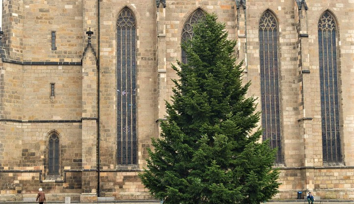 Vánoční jedle už stojí na svém místě a čeká na ozdobení