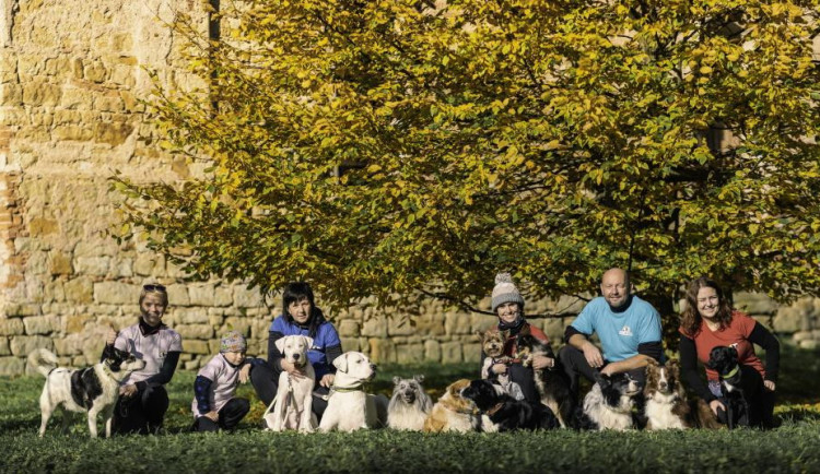 Psí detektivové mají na svém kontě 15 tisíc zachráněných mazlíčků