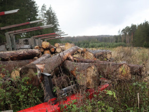 Náklaďák s dřevem skončil převrácený na boku mimo vozovku