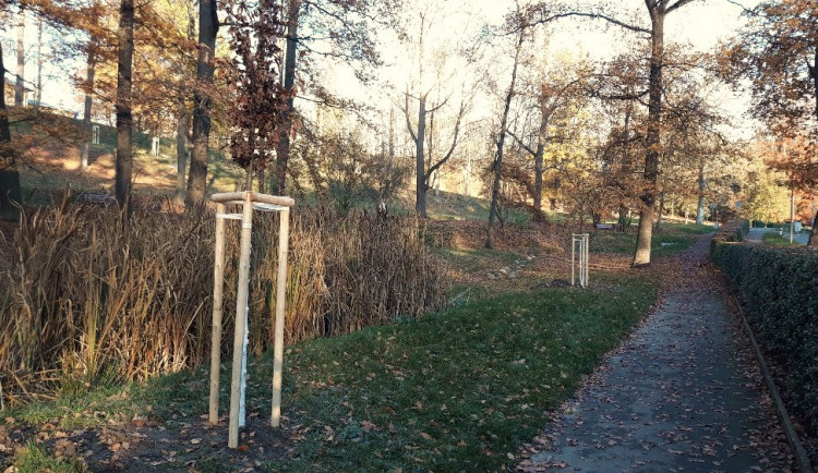 Skončila druhá etapa obnovy Lochotínského parku za 14 milionů korun