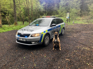 Cizince vypátral služební pes Fuzzy