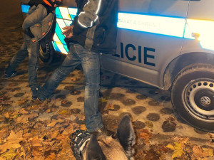 Pracovník Celní správy v civilu pronásledoval z místa činu dva zloděje, jeden ho napadl lahví