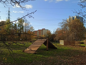 Centrální plzeňský obvod chystá otevření první loučky na venčení psů