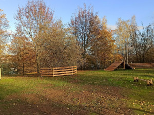 Centrální plzeňský obvod chystá otevření první loučky na venčení psů
