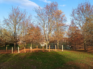 Centrální plzeňský obvod chystá otevření první loučky na venčení psů