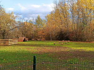 Centrální plzeňský obvod chystá otevření první loučky na venčení psů