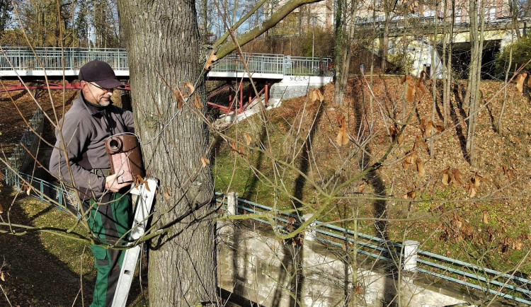 Pavel Steinbach instaluje jednu novou budku