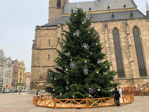 Nazdobený vánoční strom na náměstí Republiky už čeká jen na slavnostní rozsvícení
