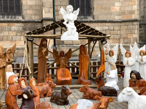 Nazdobený vánoční strom na náměstí Republiky už čeká jen na slavnostní rozsvícení