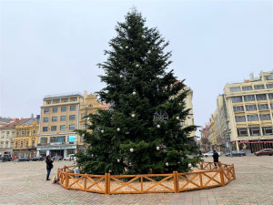 Nazdobený vánoční strom na náměstí Republiky už čeká jen na slavnostní rozsvícení
