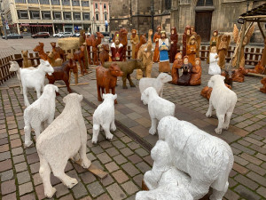 Nazdobený vánoční strom na náměstí Republiky už čeká jen na slavnostní rozsvícení