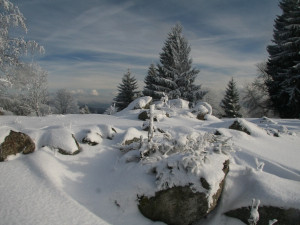 Příroda nejde naplánovat, říká ředitel Národního parku Šumava
