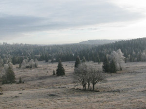 Počasí: Nejchladněji bylo šumavské Kvildě, kde teploty klesly na minus 16,5 stupně