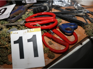 Dva byty a dvě profesionální pěstírny konopí, policisté zde objevili přes 200 rostlin