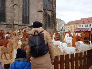 Pořád jsme doufali, že trhy budou, říkají prodejci